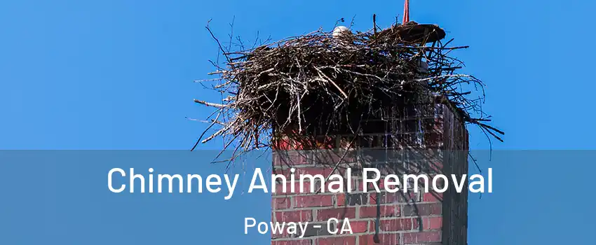 Chimney Animal Removal Poway - CA