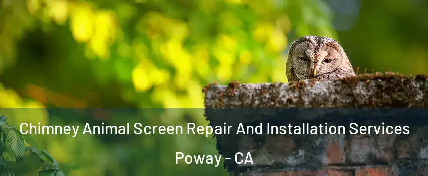  Chimney Animal Screen Repair And Installation Services Poway - CA