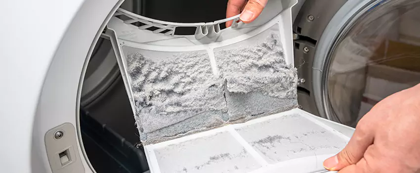 Best Dryer Lint Removal Company in Poway, California