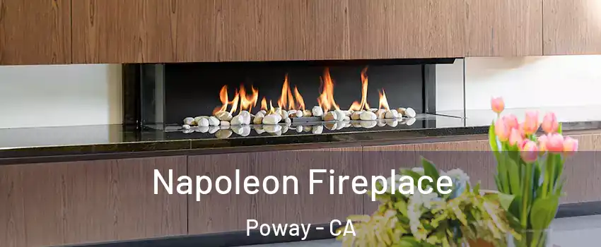  Napoleon Fireplace Poway - CA